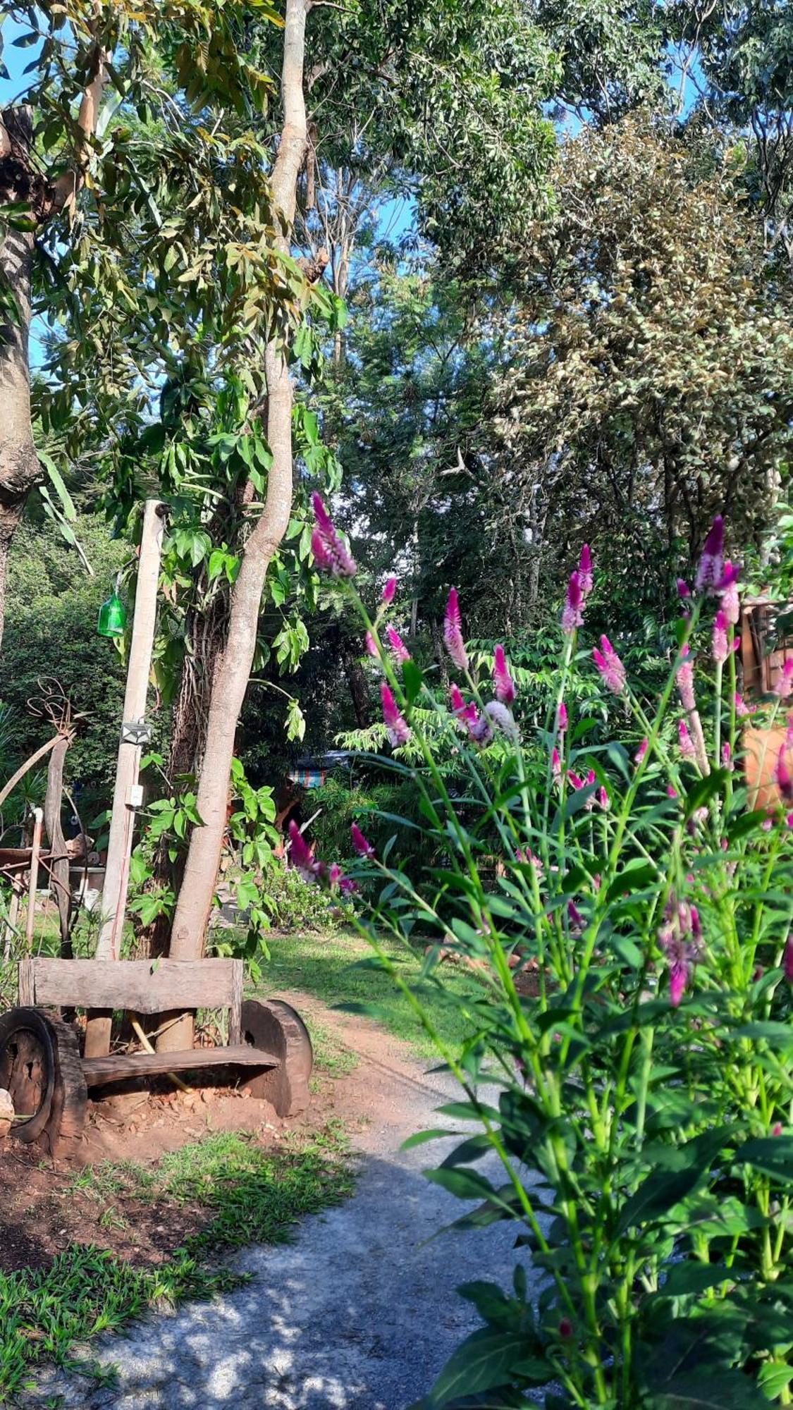Camping Nomadas Bonito  Dış mekan fotoğraf