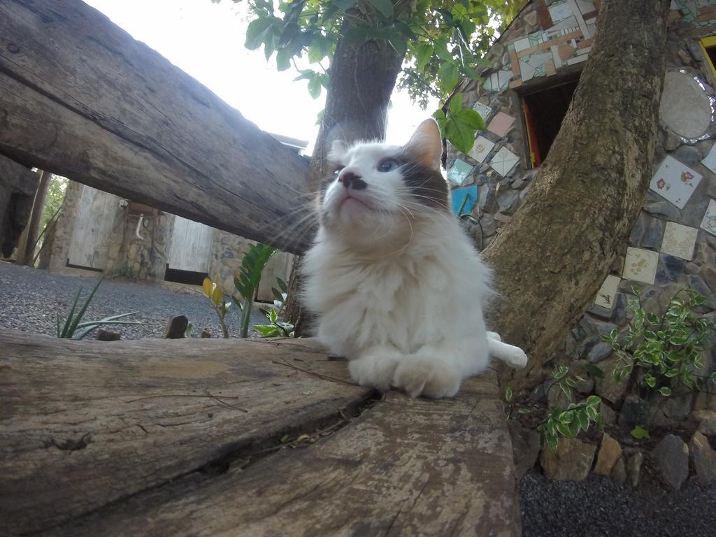 Camping Nomadas Bonito  Dış mekan fotoğraf